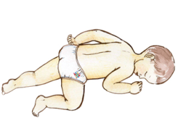 Abdominal Posture Reflex