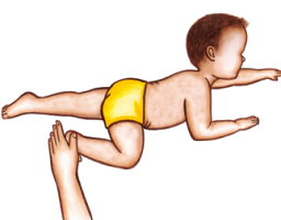 Bauer Crawling Reflex