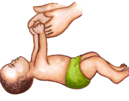 Robinson Hands Grasp Reflex